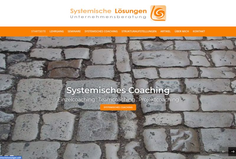 Website Development for Business Consultant