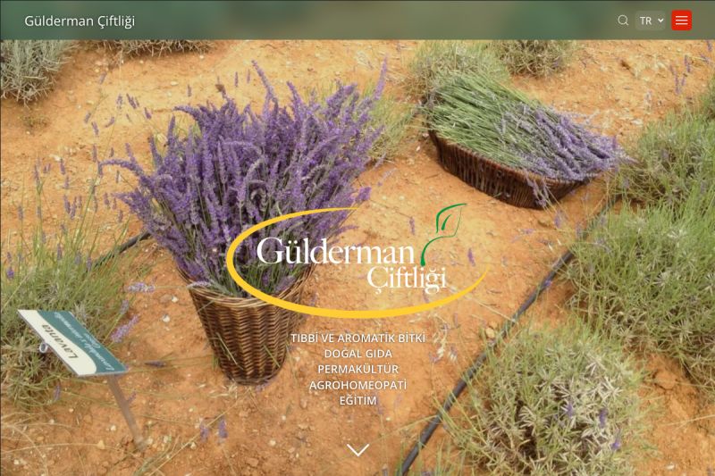 Ecological Farm Website Development