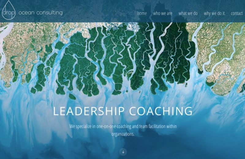 Drop Ocean Consulting with Samina Hashmi