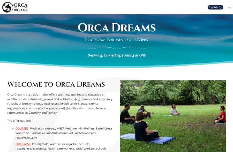 Orca Dreams
