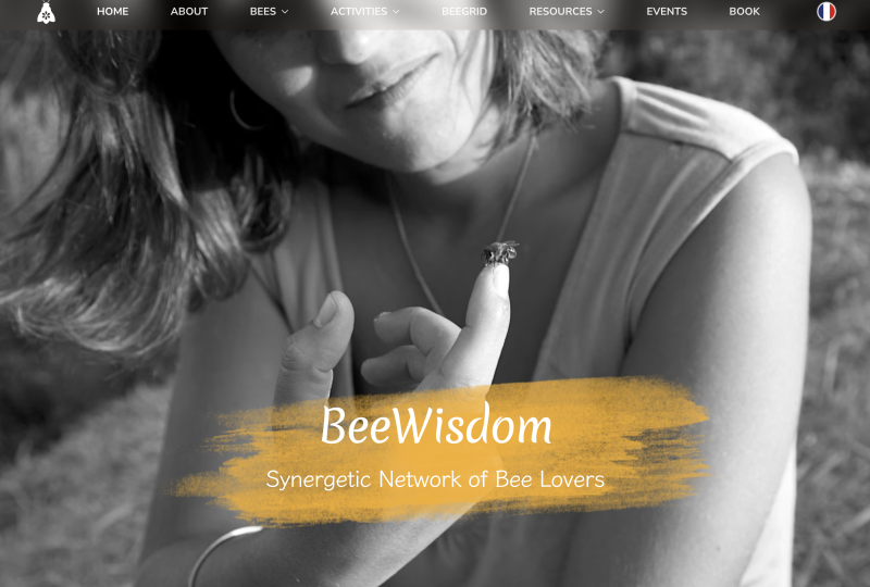 Bee care website development