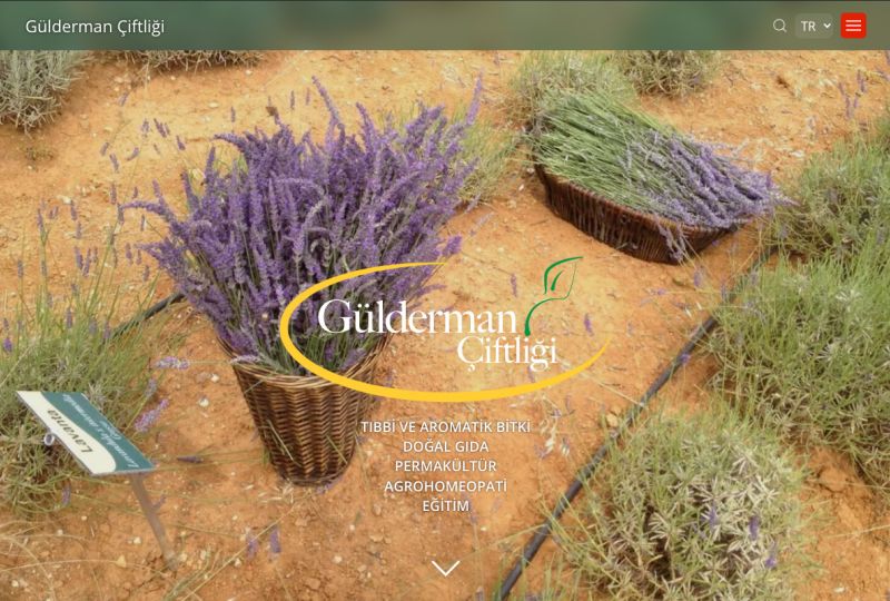 Ecological Farm Website Development