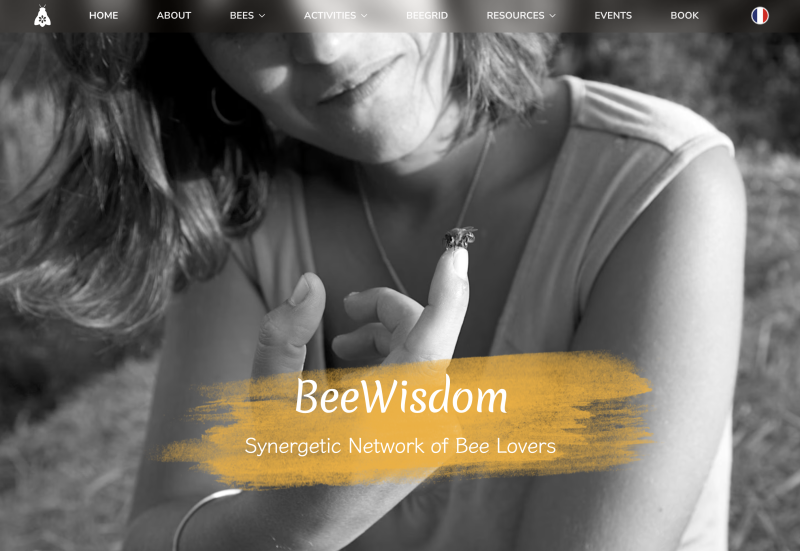 Bee care website development