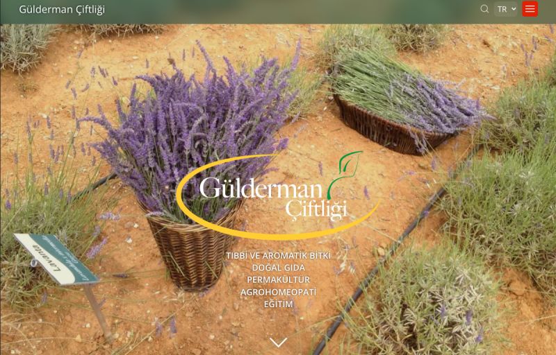 Ecological Farm Website Development